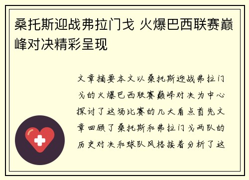 桑托斯迎战弗拉门戈 火爆巴西联赛巅峰对决精彩呈现