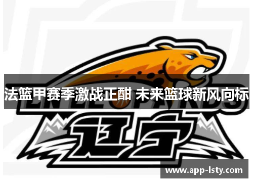 法篮甲赛季激战正酣 未来篮球新风向标